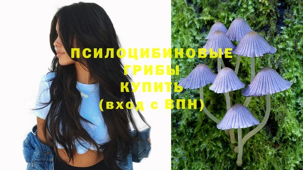 MESCALINE Верхний Тагил
